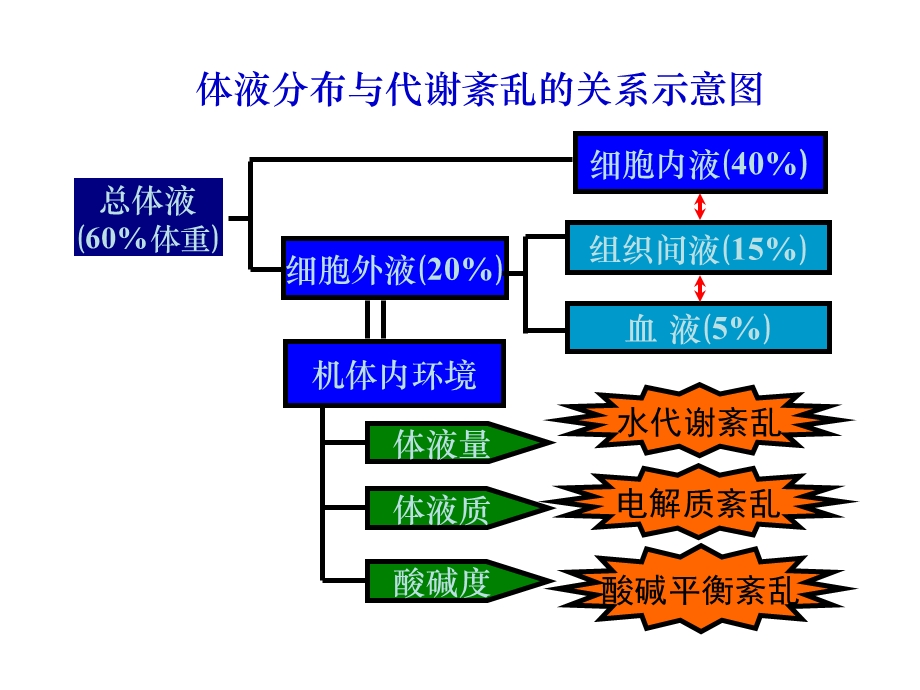 2-1脱水、水中毒.ppt_第2页