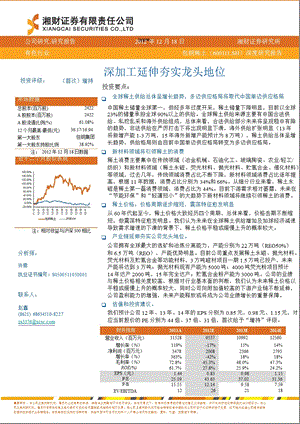 包钢稀土(600111)深度研究报告：深加工延伸夯实龙头地位-2012-12-21.ppt