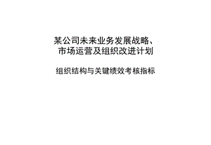 某公司未来业务发展战略、市场运营及组织改进计划-组织结构与关键绩效考核指标 —波士顿(2).ppt