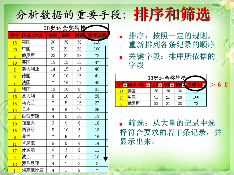 第四节 火眼金睛-数据的排序与筛选.ppt_第3页