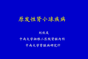 原发性肾小球肾炎(1).ppt