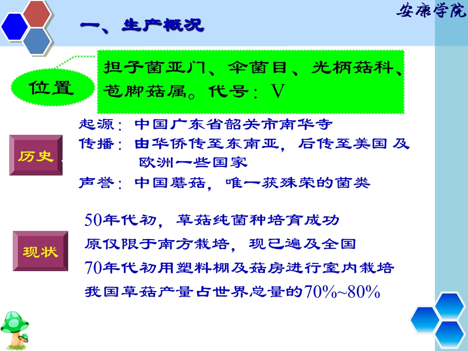 草菇栽培讲座_.ppt_第3页