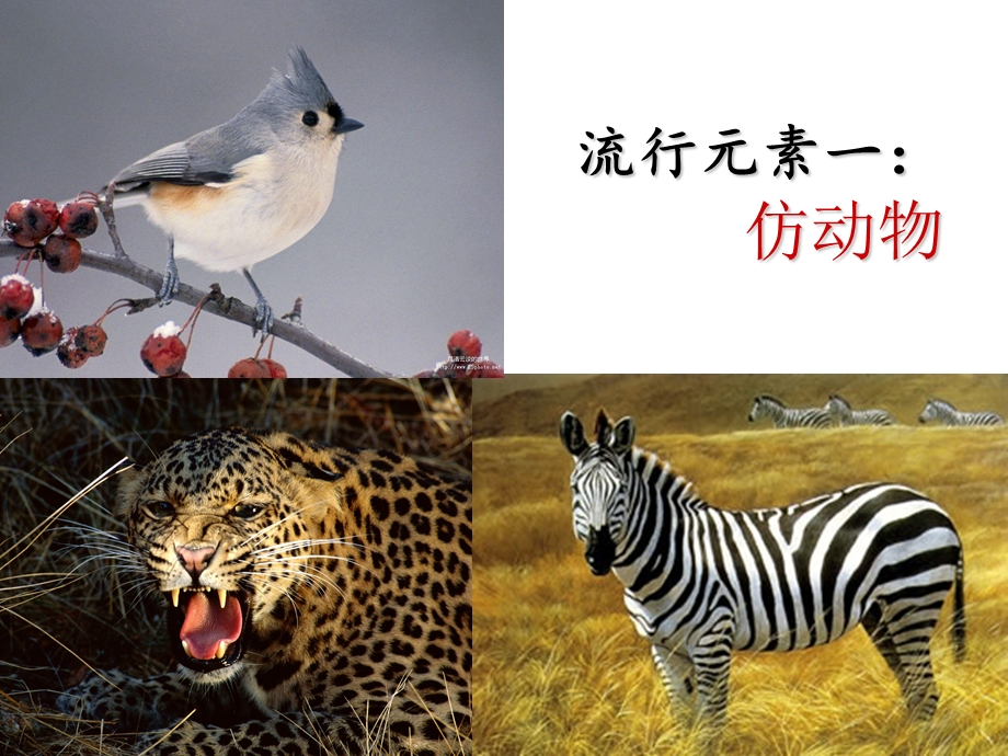 2010秋季女鞋流行趋势(1).ppt_第2页