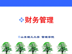 财务管理教学课件PPT项目投资.ppt