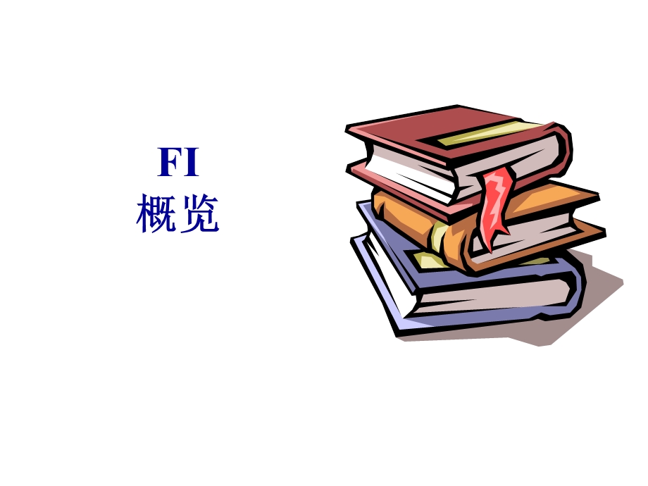 FI概览(1).ppt_第1页