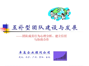 互补型团队.ppt