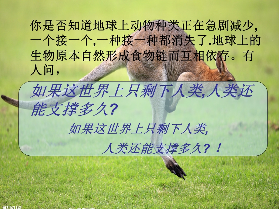 濒危动物PPT设计作品.ppt_第2页