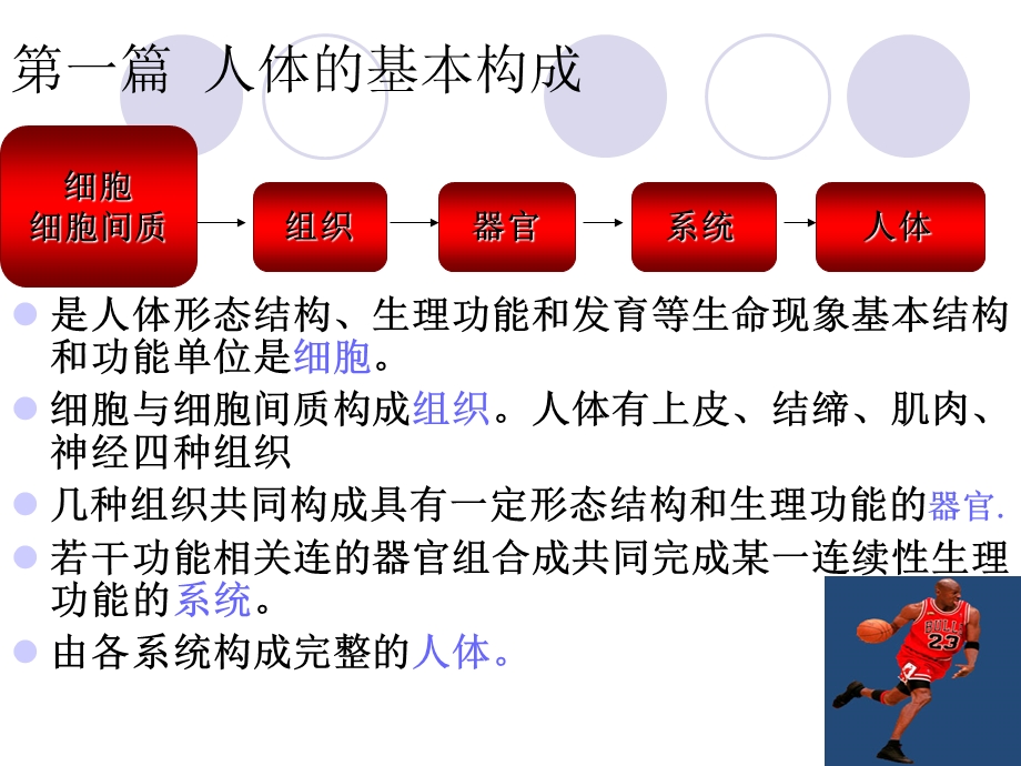 01细胞与细胞间质.ppt.ppt_第2页