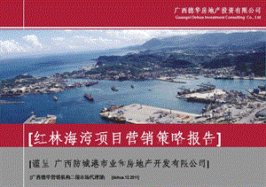 2011广西红林海湾项目营销策略报告70p.ppt