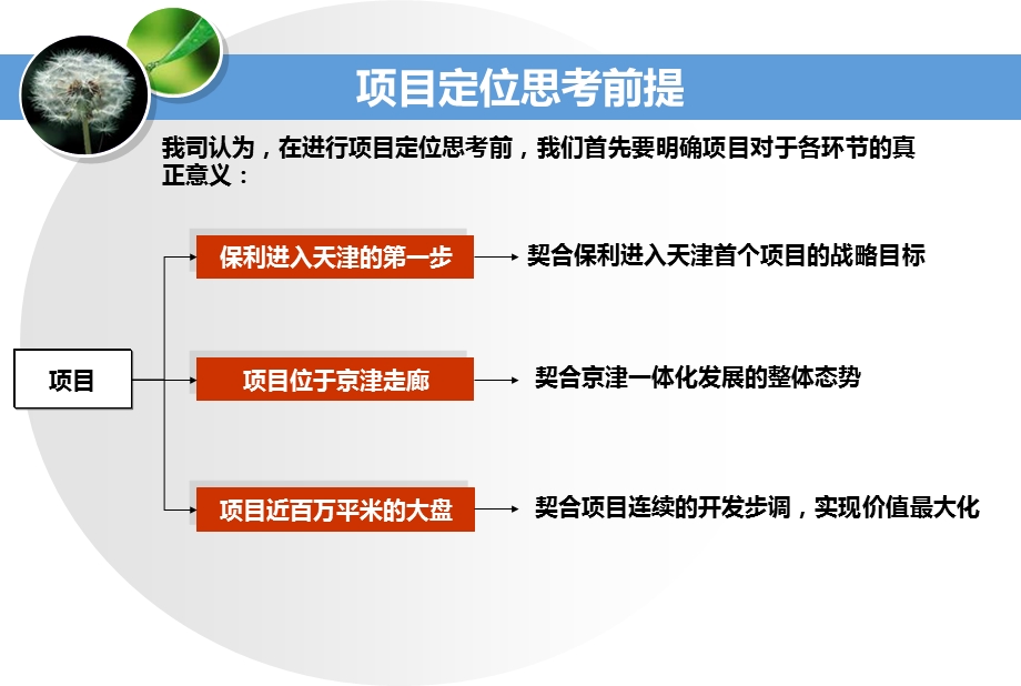 2008保利地产武清楼盘整合营销企划案(高端策划精品).ppt_第2页