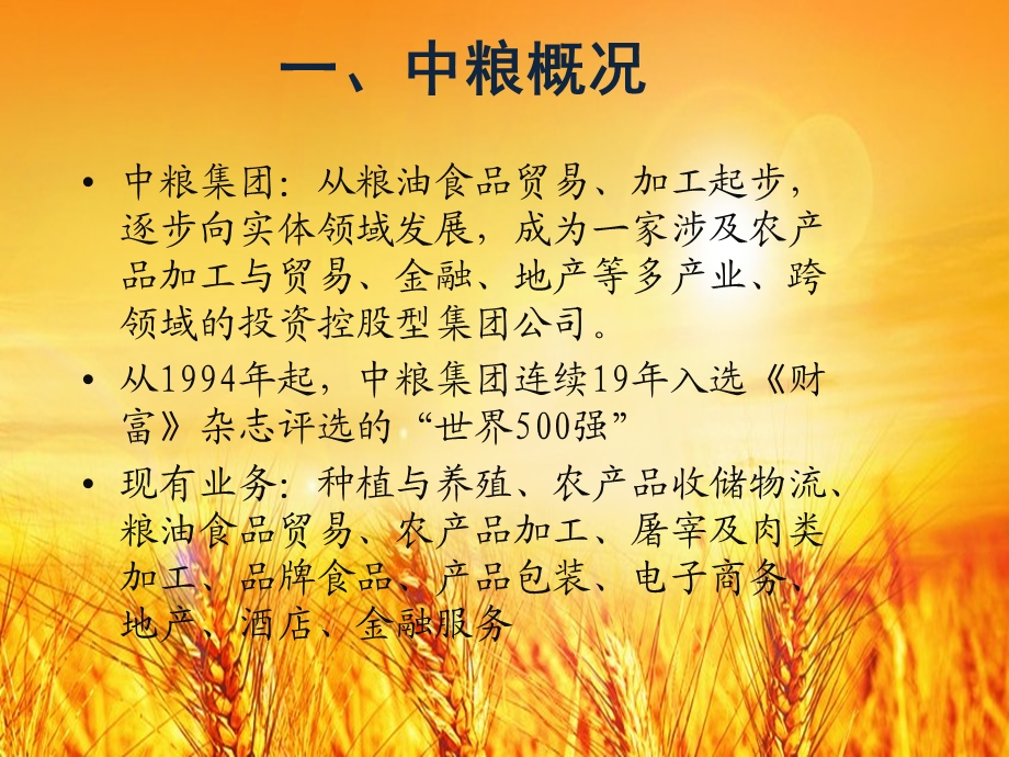 中粮全产业链讨论(1).ppt_第3页