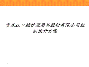 口腔护理用品公司组织设计方案.ppt