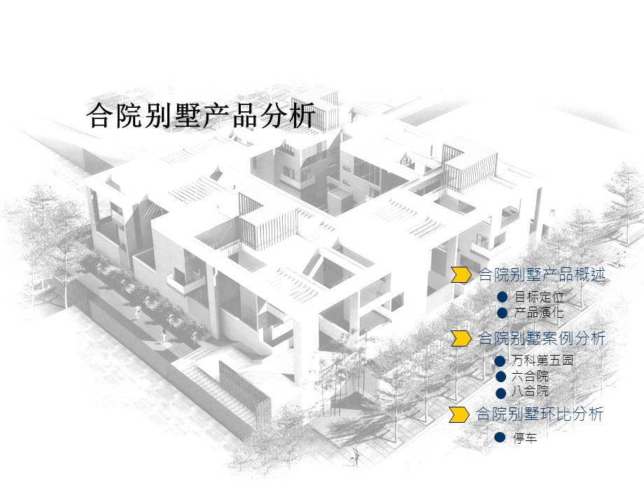 合院别墅产品分析研究.ppt_第2页