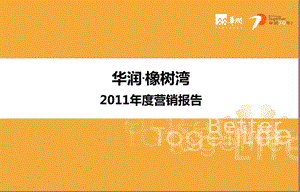 2011年华润橡树湾房地产项目营销策划报告(1).ppt