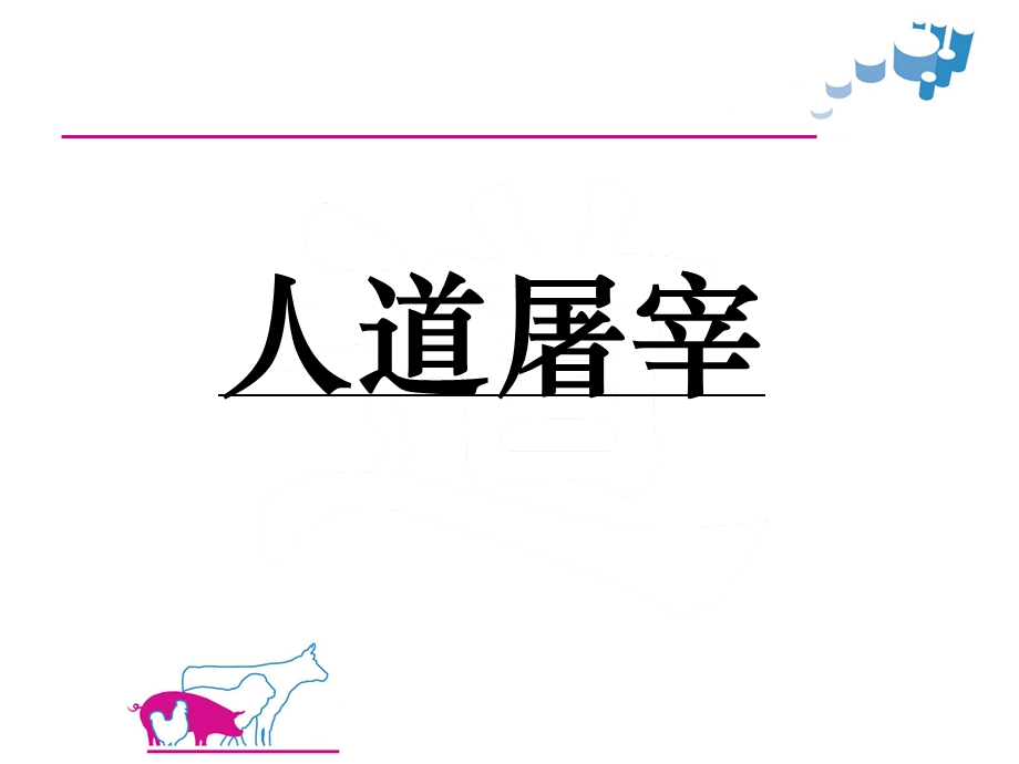 人道屠宰.ppt_第1页