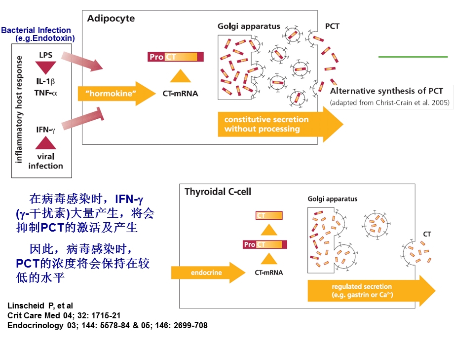 PCT在ICU的应用.ppt_第3页