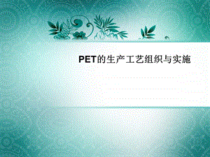 PET的生产工艺组织与实施.ppt