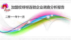 加盟哎呀呀连锁企业调查分析报告.ppt