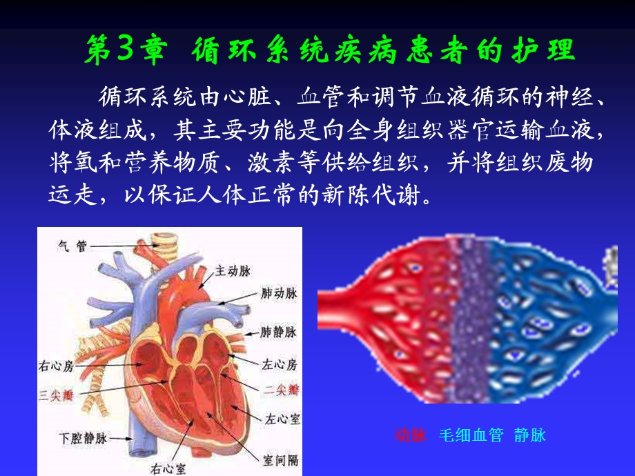 循环系统疾病常见症状的护理.ppt_第3页