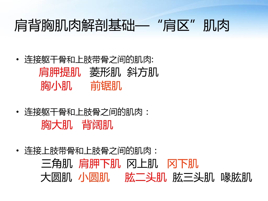 肩背胸肌肉牵伸.ppt_第3页