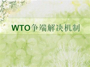 WTO争端解决机制案例分析优缺点及建议.ppt