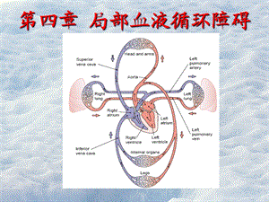 局部血液循环障碍.ppt