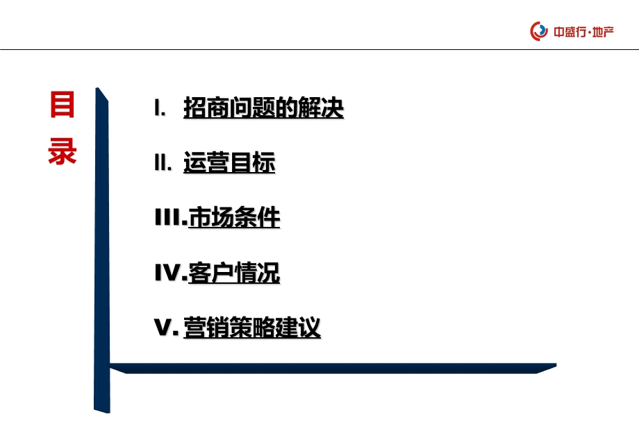 2013年长沙勤诚达·新界整体商铺销售方案（56页） .ppt_第2页