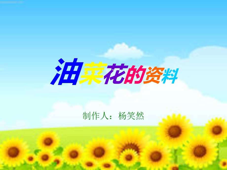 油菜花资料1.ppt_第1页