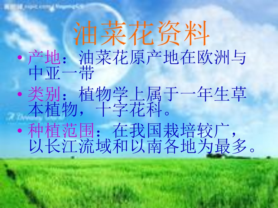 油菜花资料1.ppt_第2页