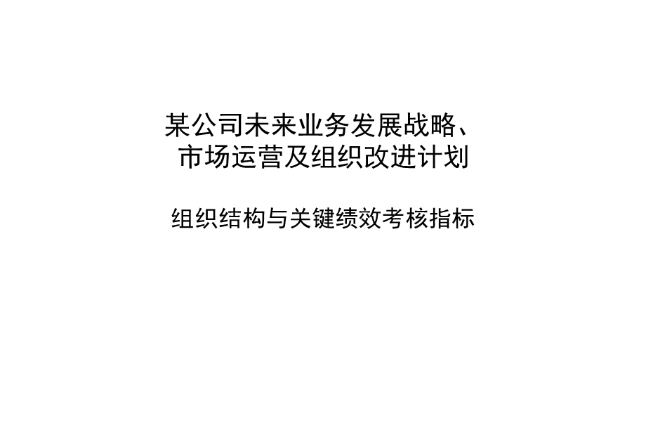 某公司未来业务发展战略、市场运营及组织改进计划-组织结构与关键绩效考核指标 —波士顿(1).ppt_第1页