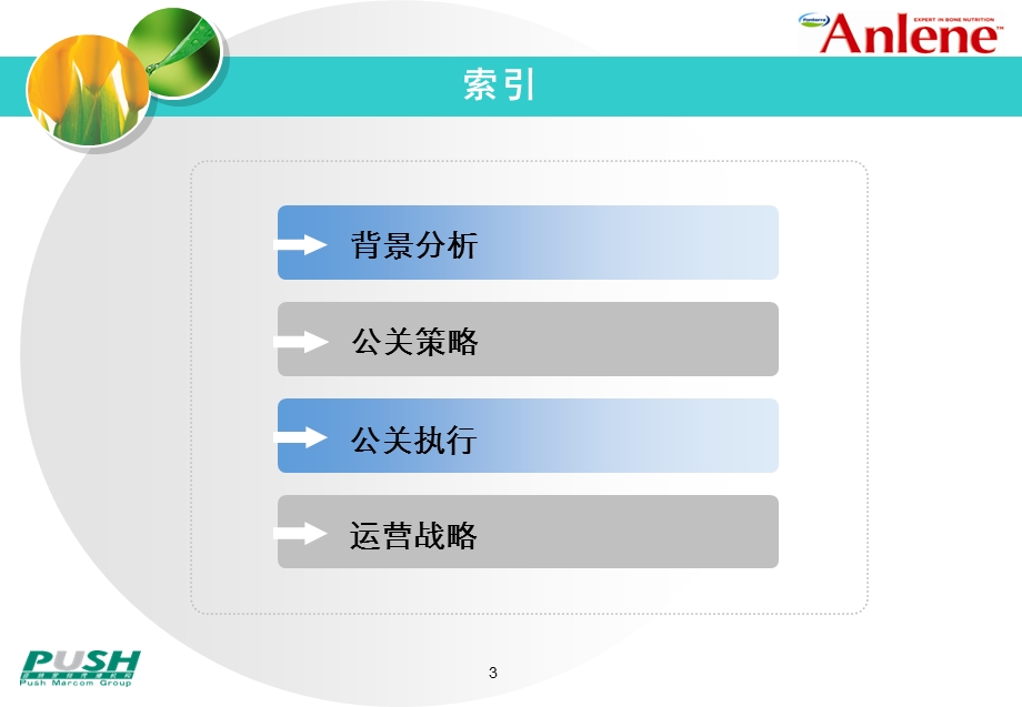 【广告策划-PPT】安怡奶粉08公关方案(2).ppt_第3页