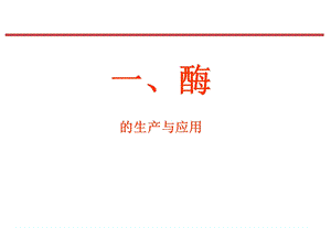 技术总结酶制剂.ppt.ppt