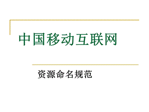 中国移动互联网数据网网管培训－互联网资源命名规范(1).ppt