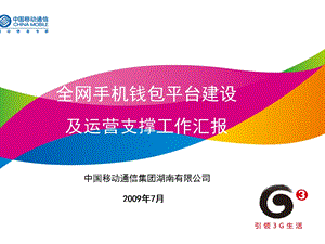 全网手机支付平台建设及业务运营工作汇报0713.ppt