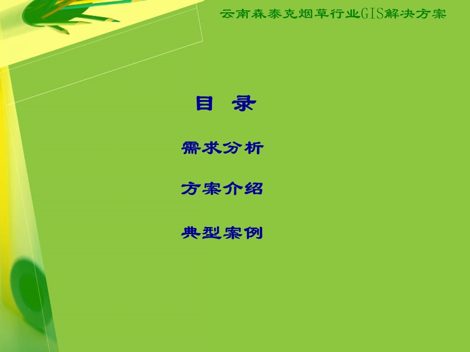 烟草行业卷烟专卖及销售GIS(1).ppt_第2页