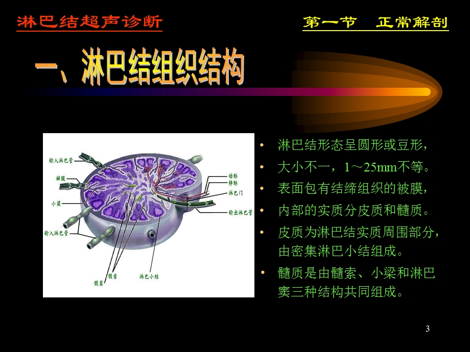 淋巴结超声(1).ppt_第3页