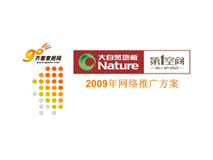 大自然地板第一空间2009年网络推广方案.ppt