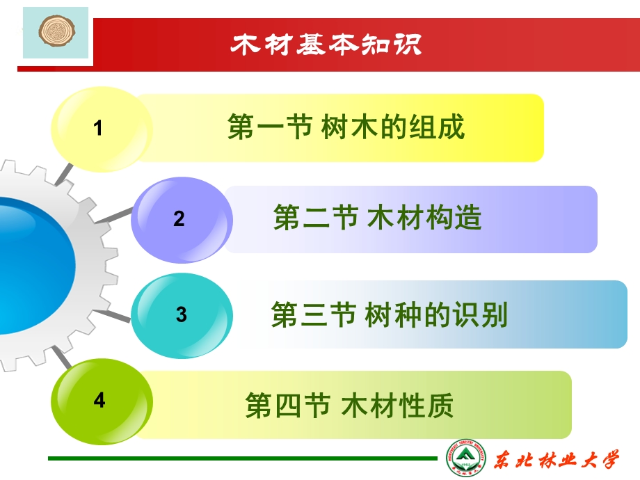 木材基本知识——木材构造.ppt_第2页