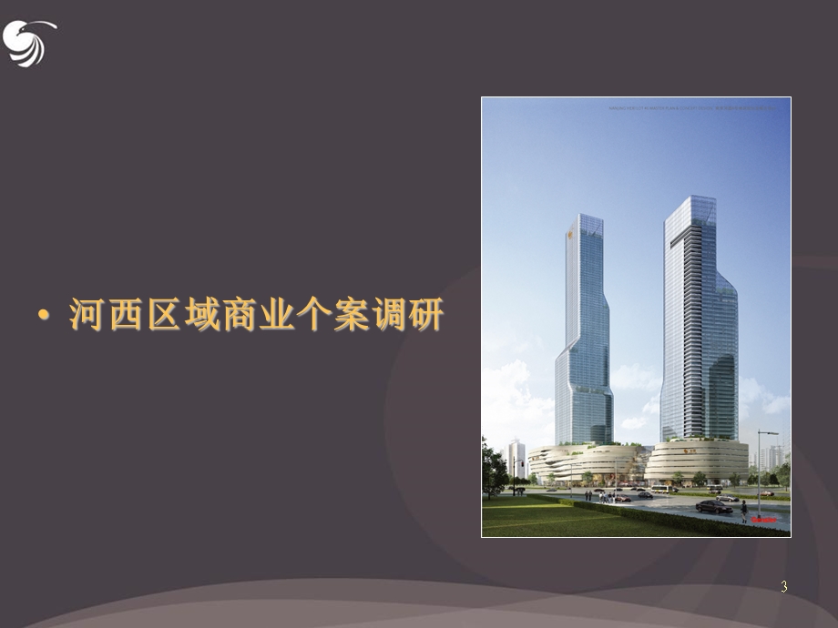 南京河西市场调研报告.ppt_第3页