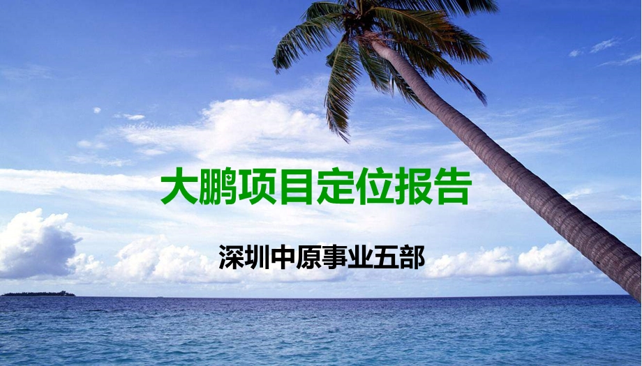 精品文案-中原深圳旅游地产大鹏项目定位报告.ppt_第1页