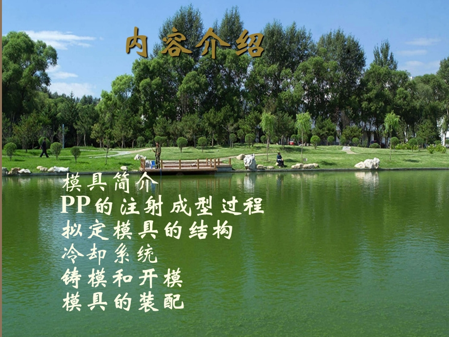 10ml注射器推杆的注塑模具设计PPT.ppt_第2页