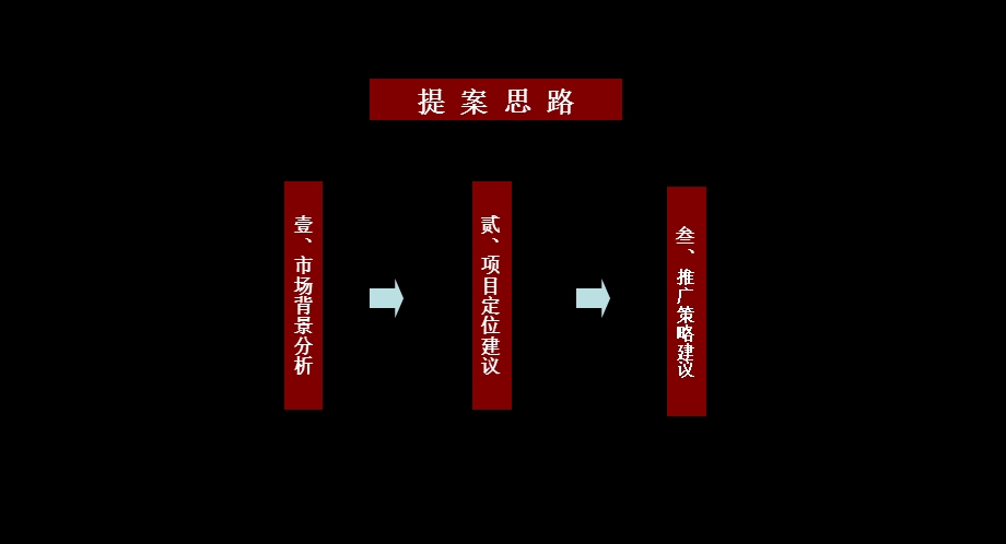 恒圆·国际丽都城定位报告(1).ppt_第3页