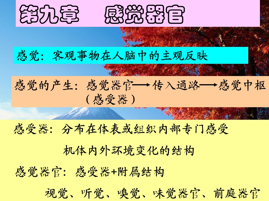 感觉生理.ppt_第1页