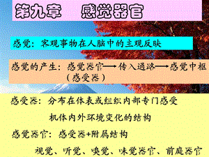 感觉生理.ppt