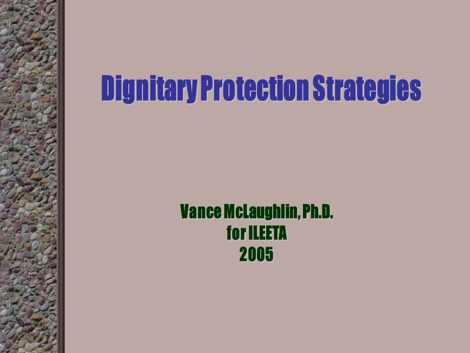 Executive Protection.ppt_第1页