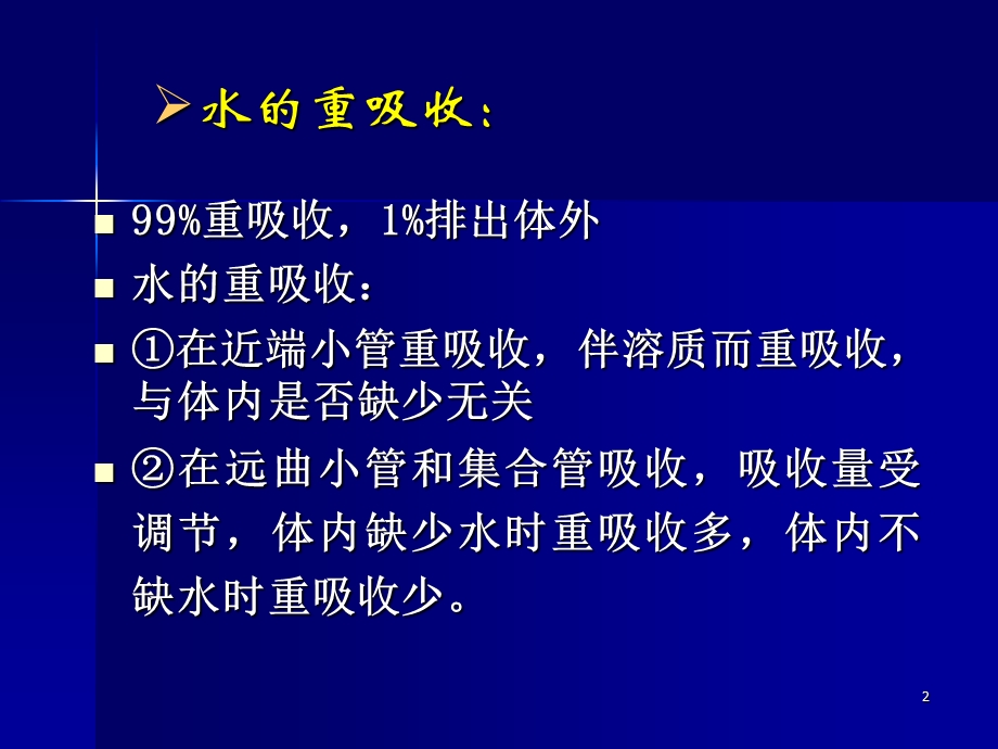 肾的排泄功能ppt.ppt_第2页