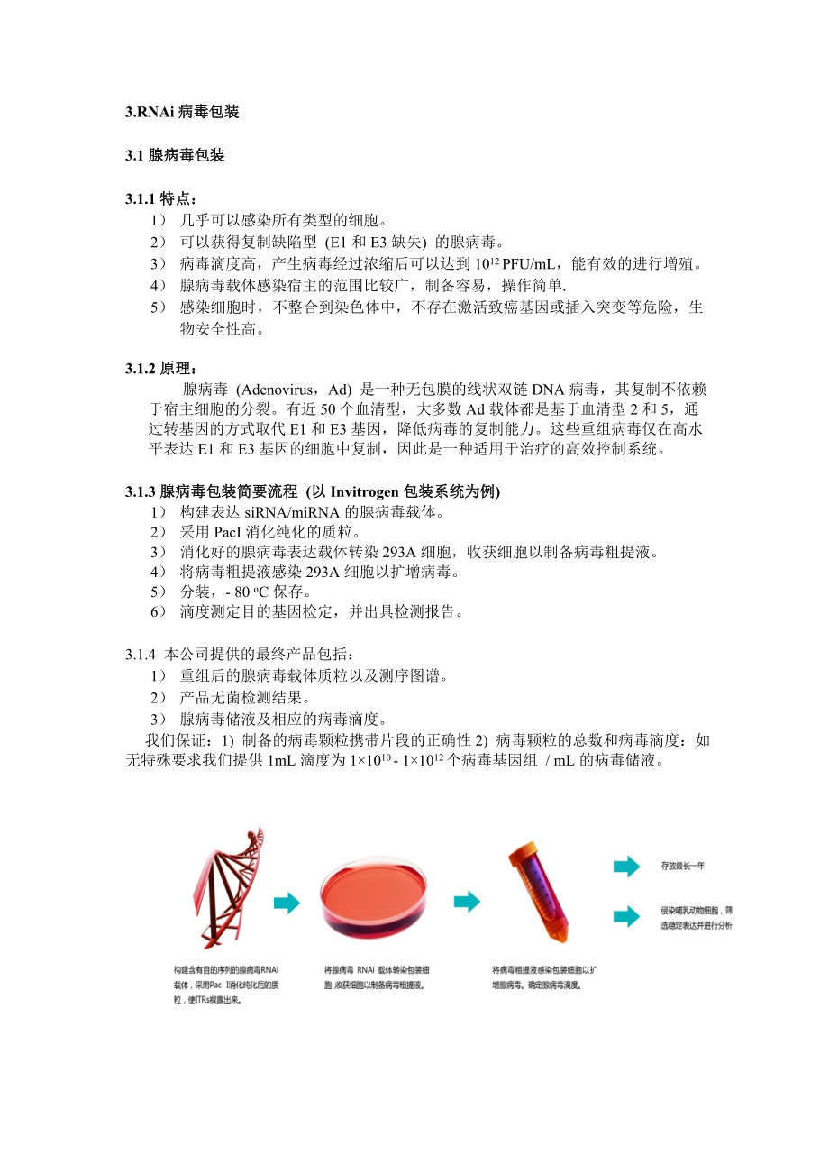 病毒包装相关资料doc-siRNA化学合成.docx_第1页