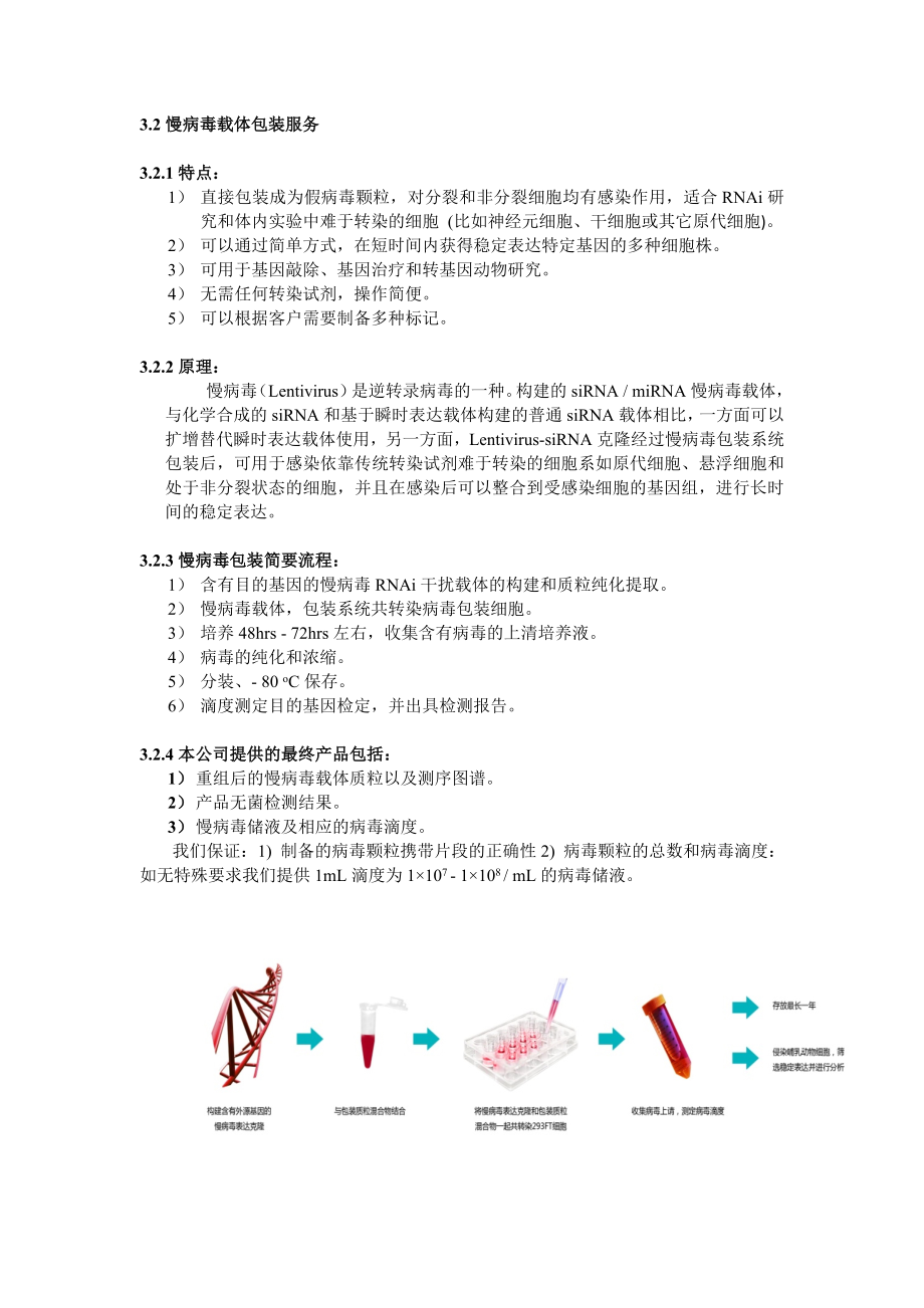 病毒包装相关资料doc-siRNA化学合成.docx_第2页