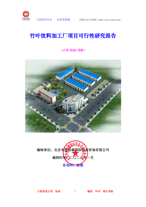 竹叶饮料加工厂项目可行性研究报告.docx