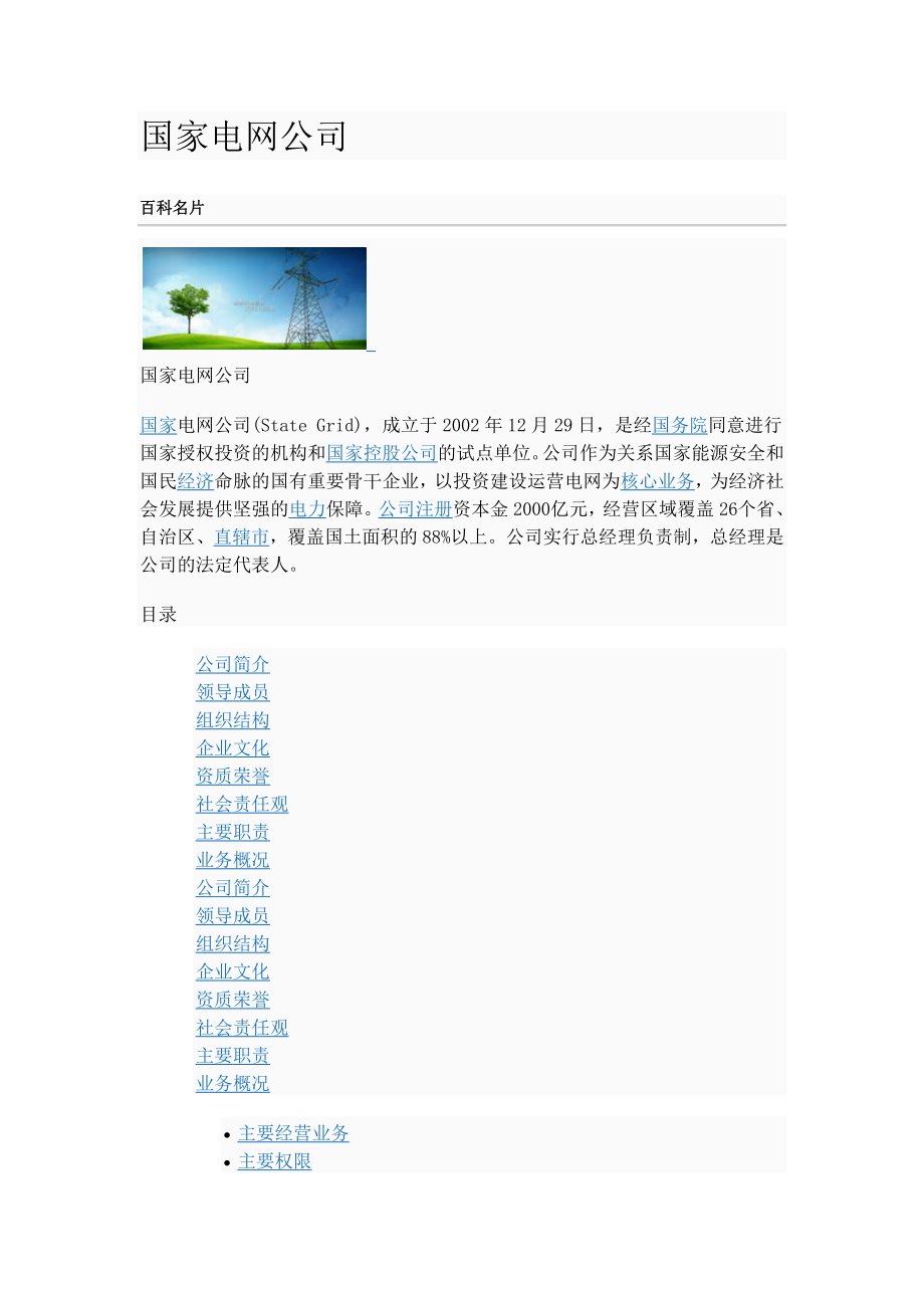 国家电网公司.docx_第1页